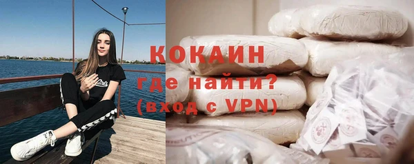 твердый Заводоуковск