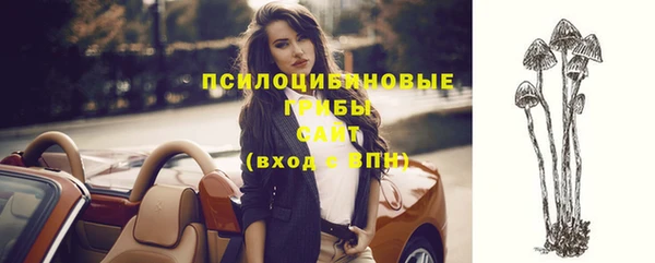 твердый Заводоуковск