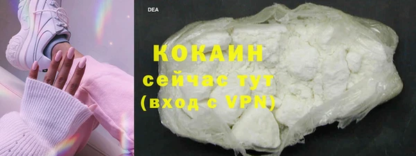 твердый Заводоуковск