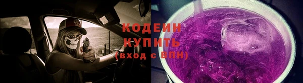 твердый Заводоуковск