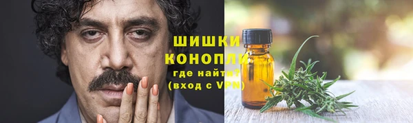 твердый Заводоуковск