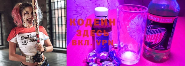 твердый Заводоуковск