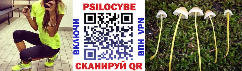 Псилоцибиновые грибы мухоморы  Купить  Нижний Ломов 